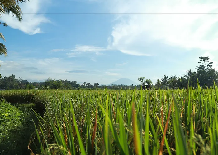 Samkhya *