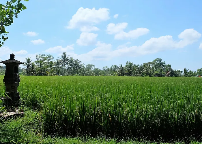 Samkhya Ubud