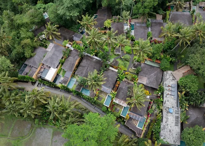 Samkhya * Ubud